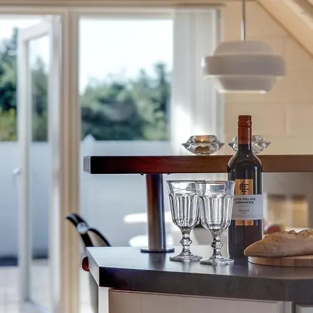 Hemfrith - 800m To The Inlet In Western Jutland By Interhome Holiday home Ringkobing